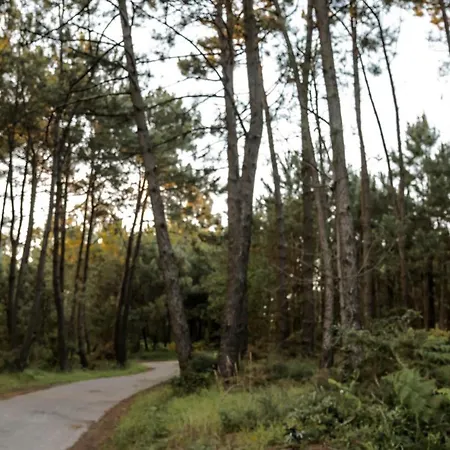 Hotel Caribe Sanxenxo