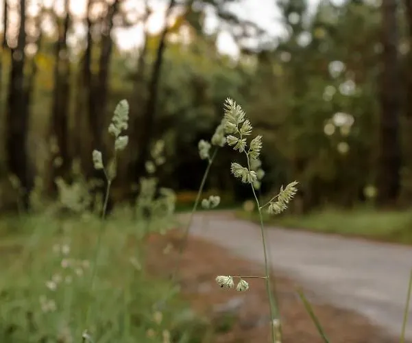 Caribe Ξενοδοχείο