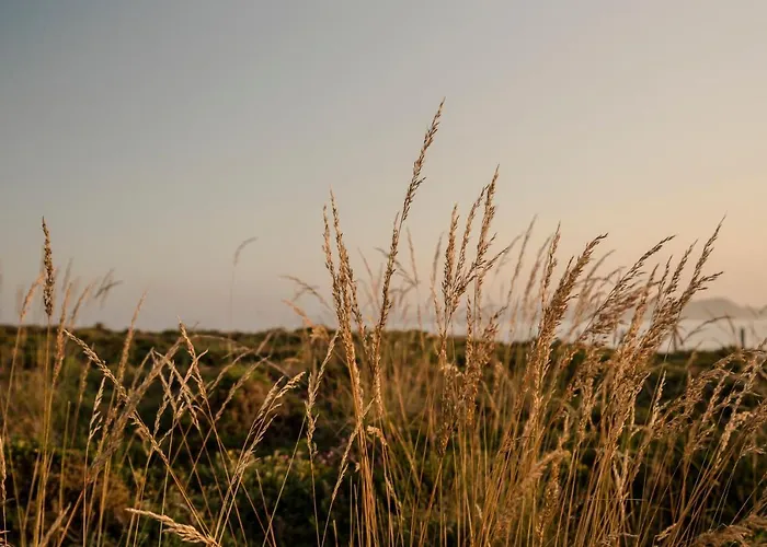 Ξενοδοχείο Caribe 2*