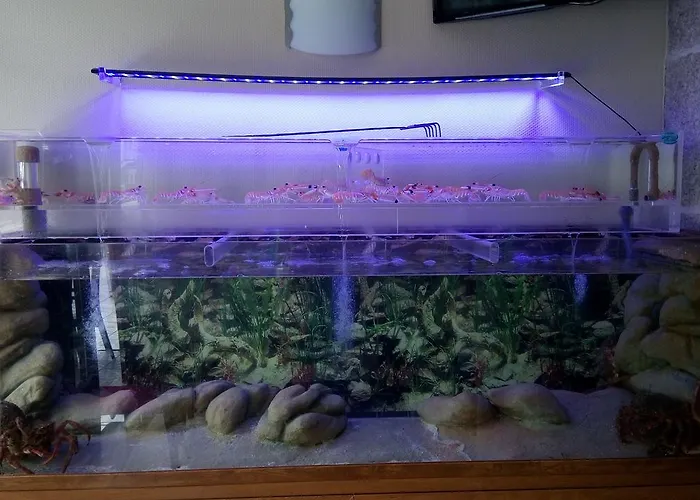 Caribe Ξενοδοχείο