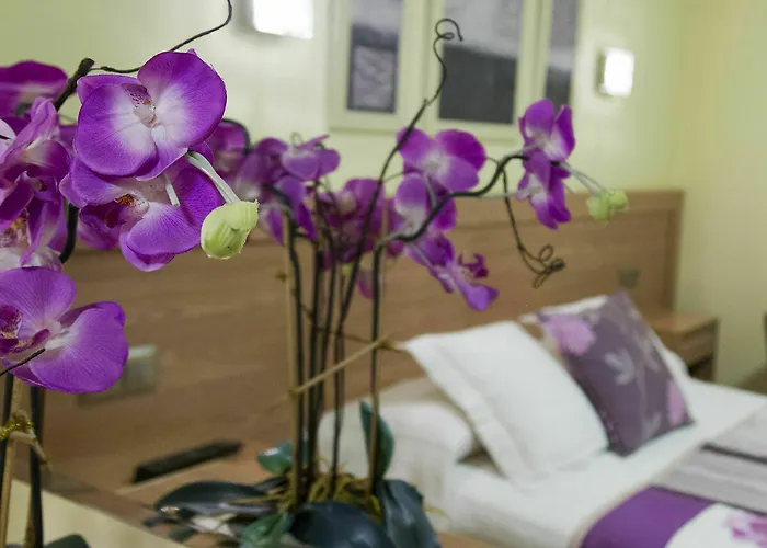 Caribe Ξενοδοχείο 2*